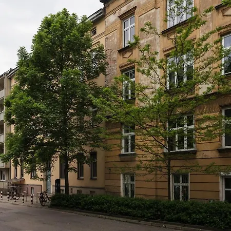 Apartament Of The Kings-camomile
