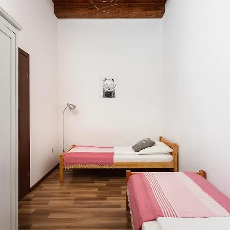 Of The Kings-camomile Krakov